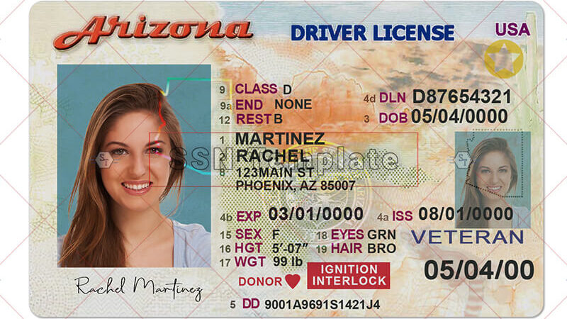 Seasonal Sale Will Begin After September 20